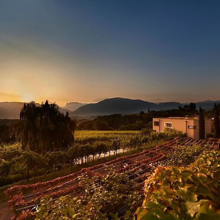 Appartement Weingut Stuck à Appiano Sulla Strada Del Vino Extérieur photo
