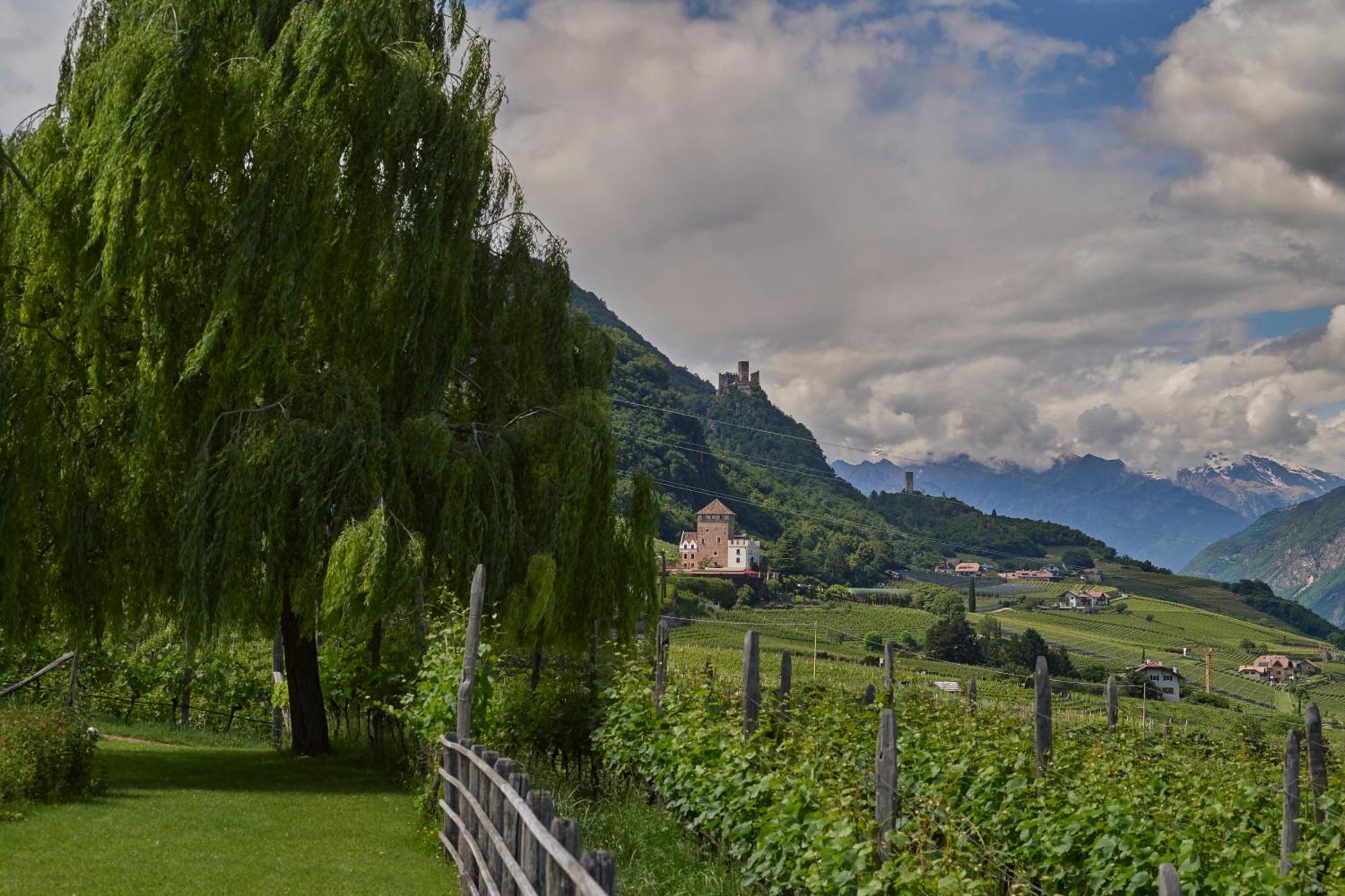 Appartement Weingut Stuck à Appiano Sulla Strada Del Vino Extérieur photo