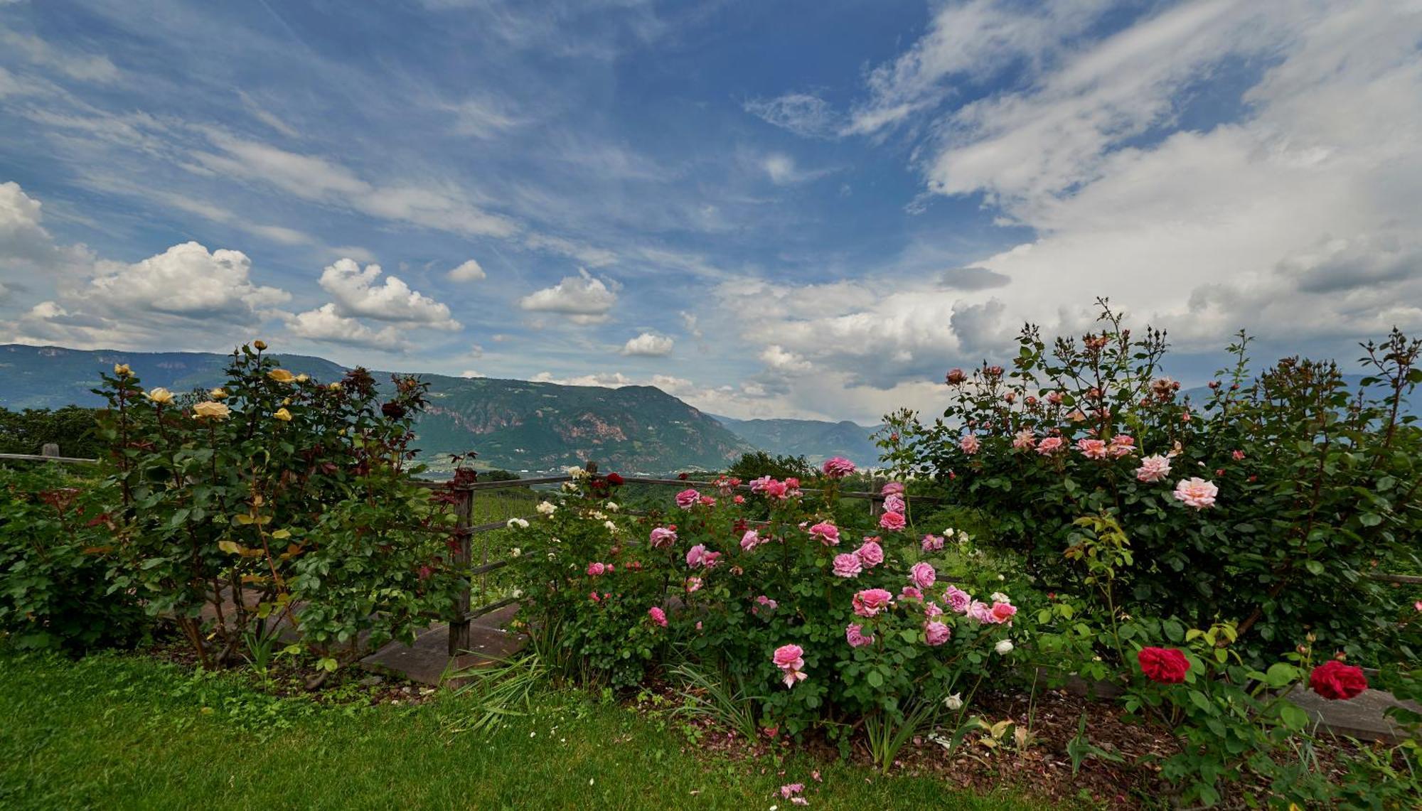 Appartement Weingut Stuck à Appiano Sulla Strada Del Vino Extérieur photo