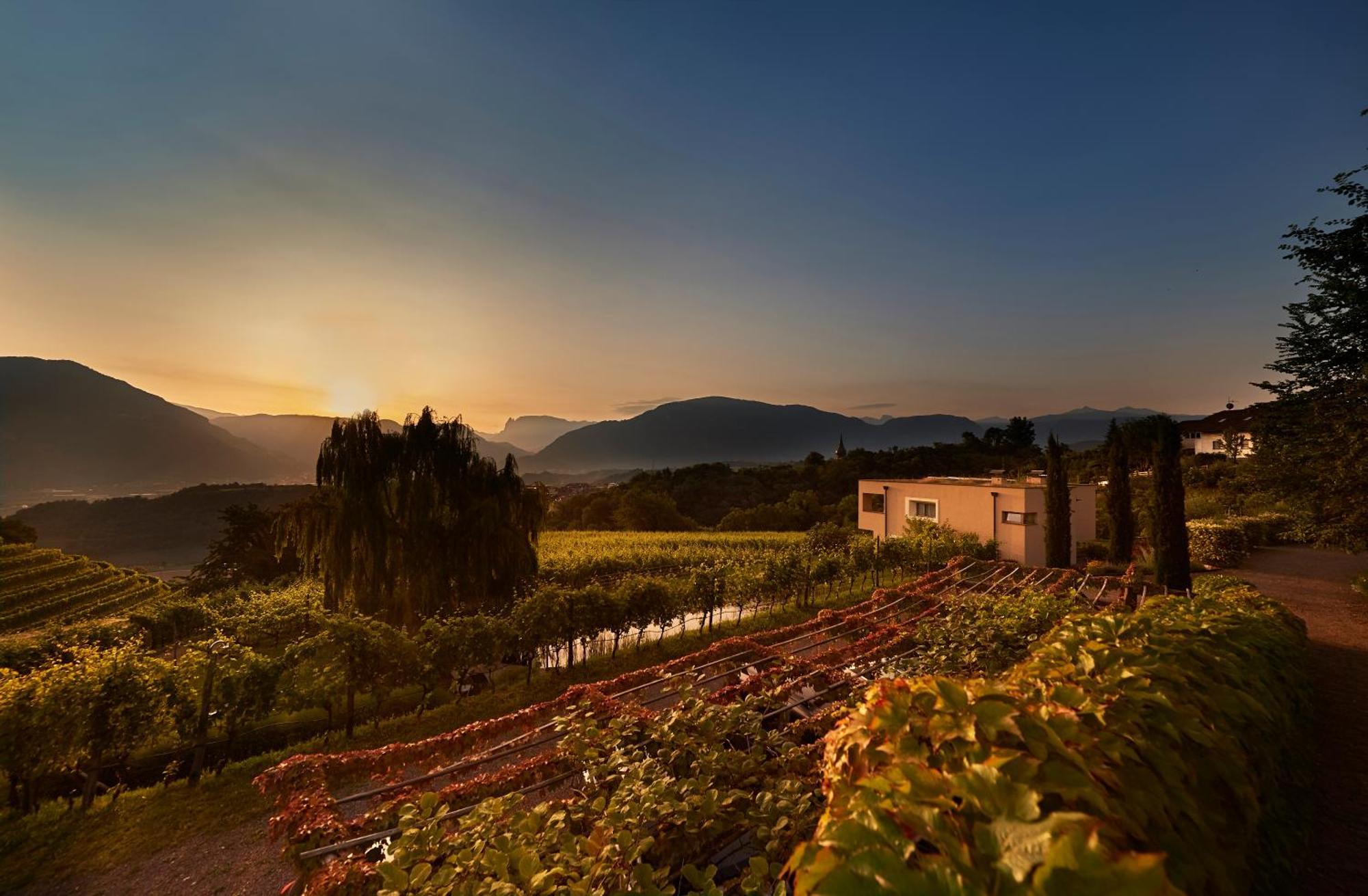 Appartement Weingut Stuck à Appiano Sulla Strada Del Vino Extérieur photo