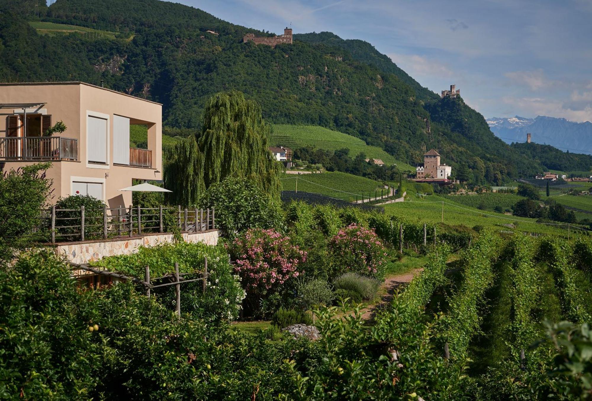 Appartement Weingut Stuck à Appiano Sulla Strada Del Vino Extérieur photo