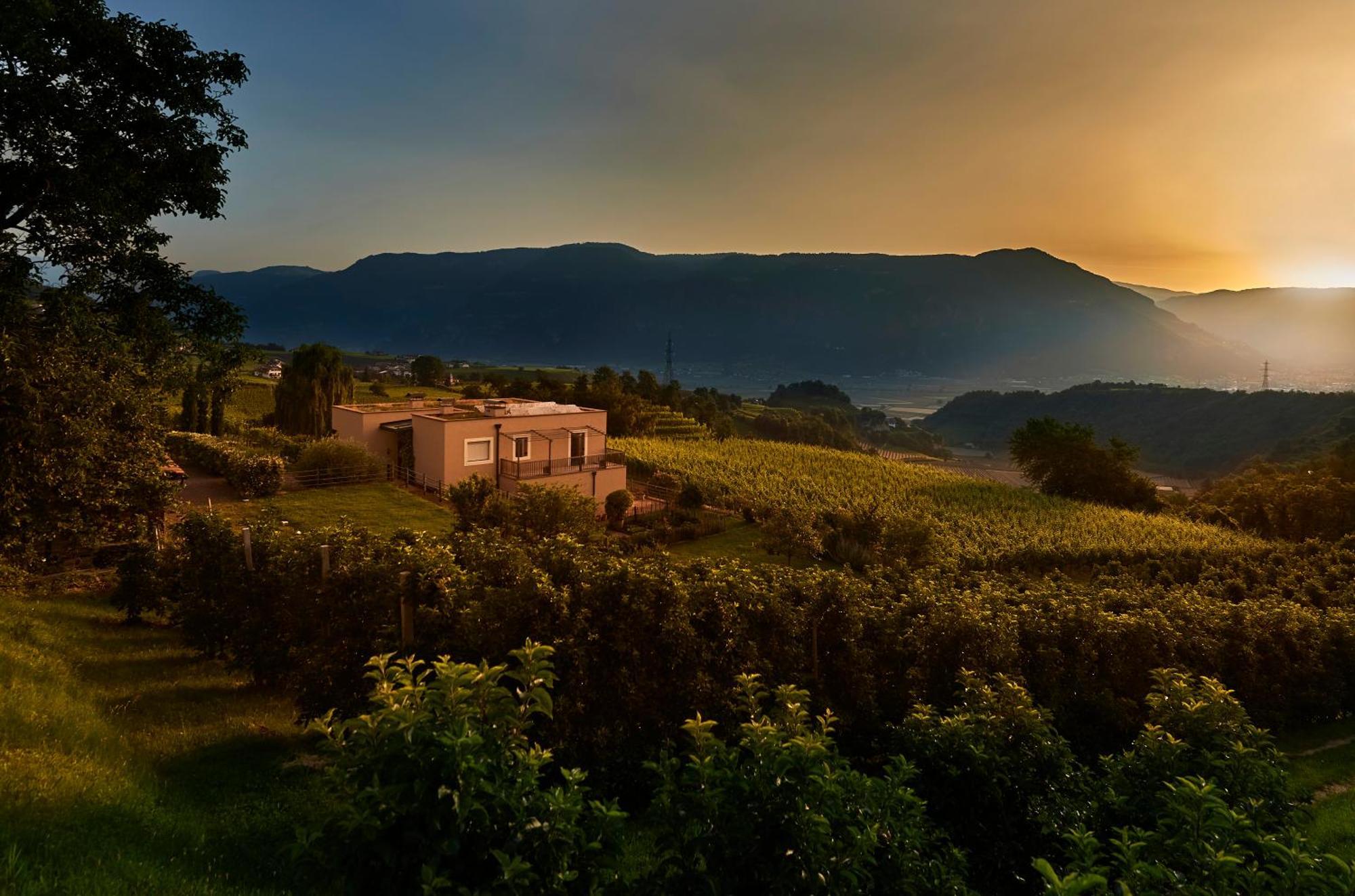Appartement Weingut Stuck à Appiano Sulla Strada Del Vino Extérieur photo