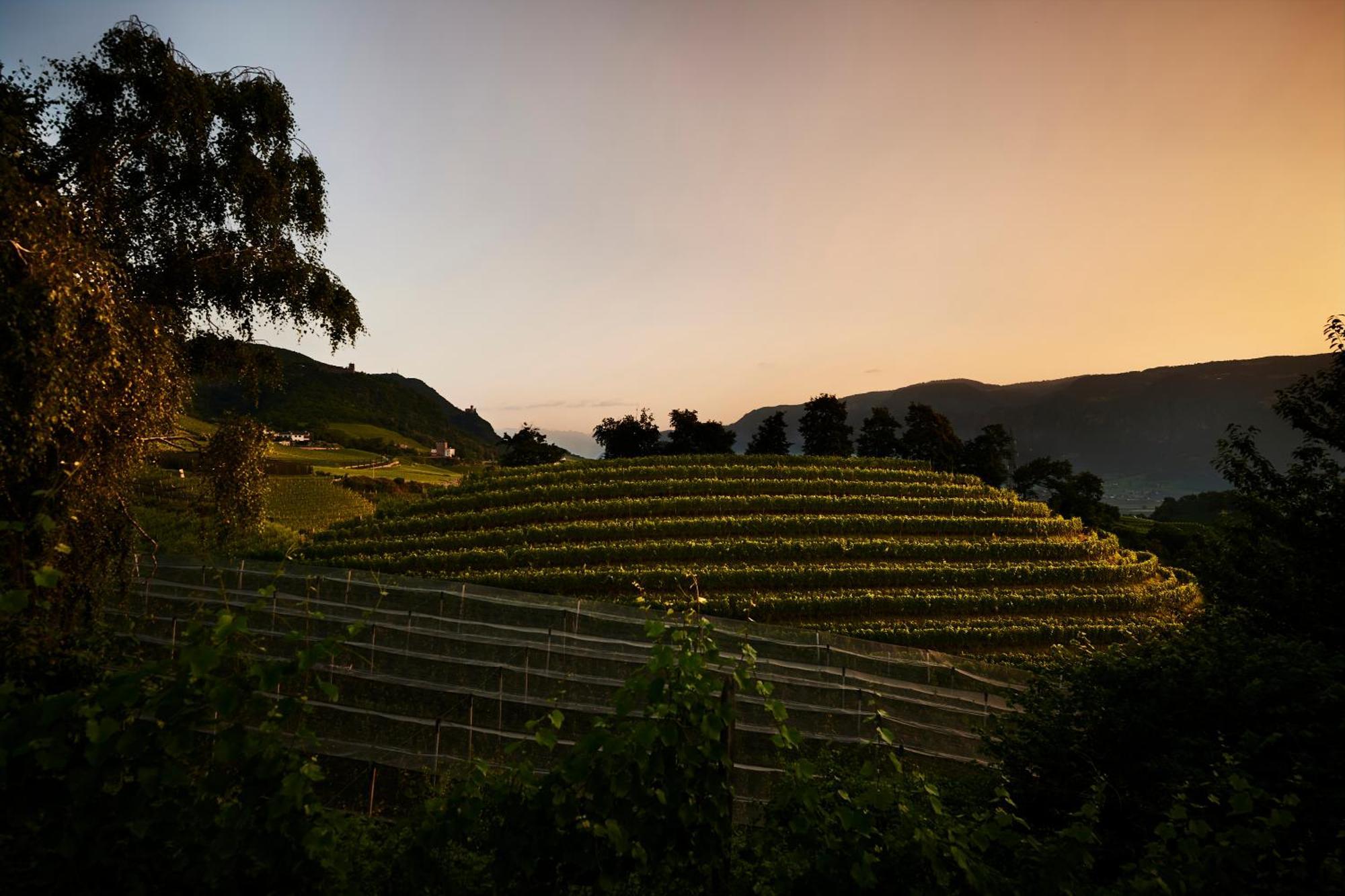 Appartement Weingut Stuck à Appiano Sulla Strada Del Vino Extérieur photo