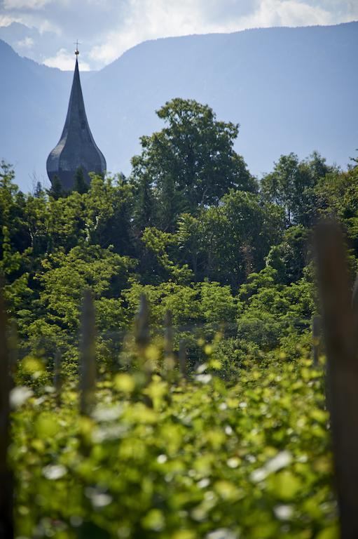 Appartement Weingut Stuck à Appiano Sulla Strada Del Vino Extérieur photo